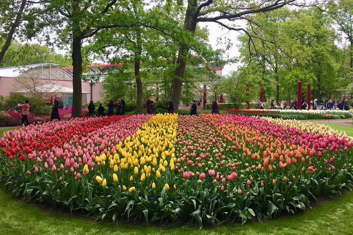 Private Day Tour of Tulips and Windmills including a Pancake Lunch image