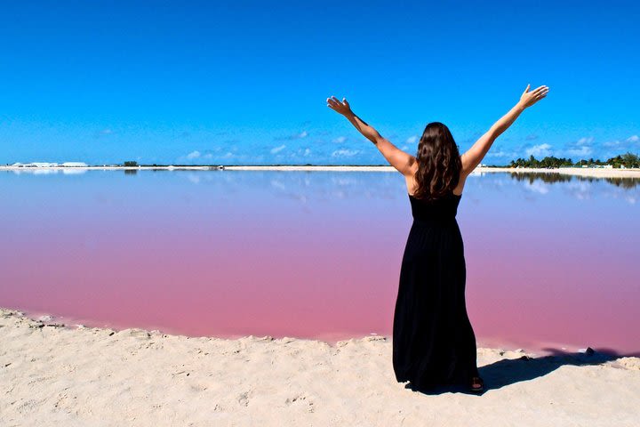 Las Coloradas & Rio Lagartos, Beautiful Eco Adventure  image