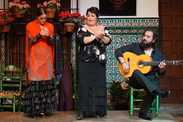 Seville Tapas & Flamenco Tour image