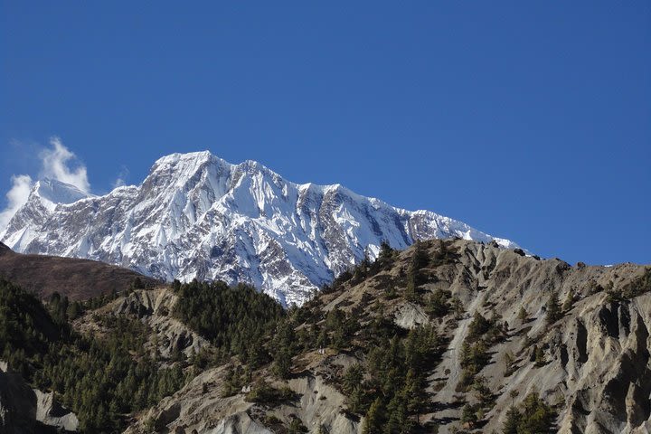 Annapurna Circuit Trek image