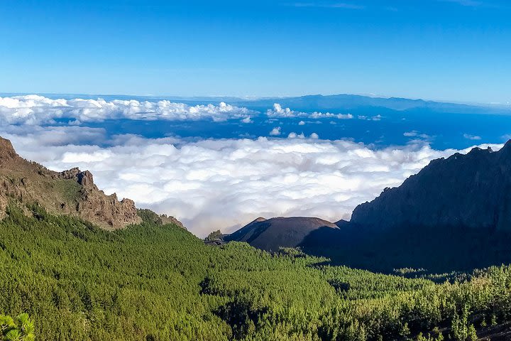 Mount Teide and Tenerife North with 5 Course Tasting Menu Shore Excursion image