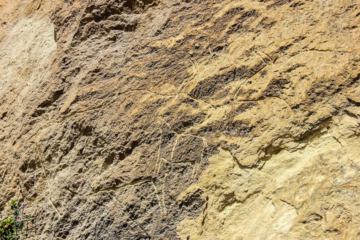 Gobustan and Mud volcanoe GROUP TOUR image