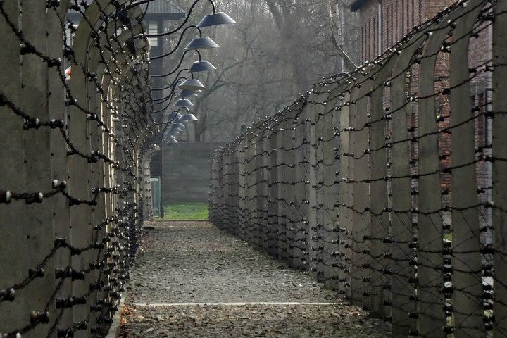 Auschwitz-Birkenau Tour from Wrocław image