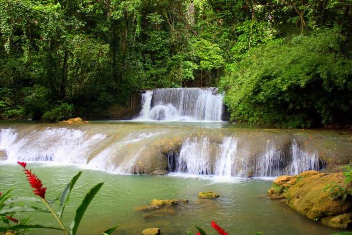 Appleton Estate, Ys Falls and Black River Safari Private Tour image