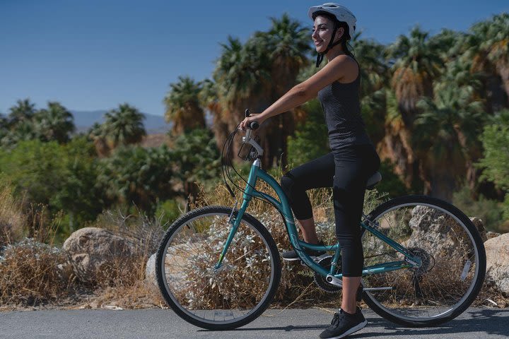 Palm Springs Indian Canyons Bike and Hike image