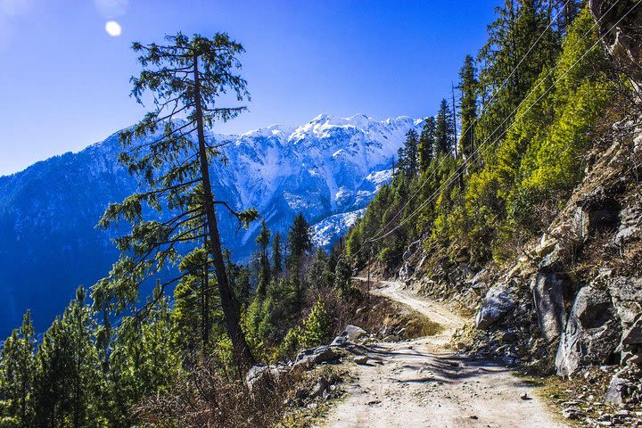 Everest Short Trek  image