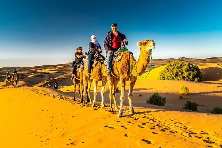 Merzouga Camel Riding & Overnight Desert Camp ( In Erg Chebbi ) image