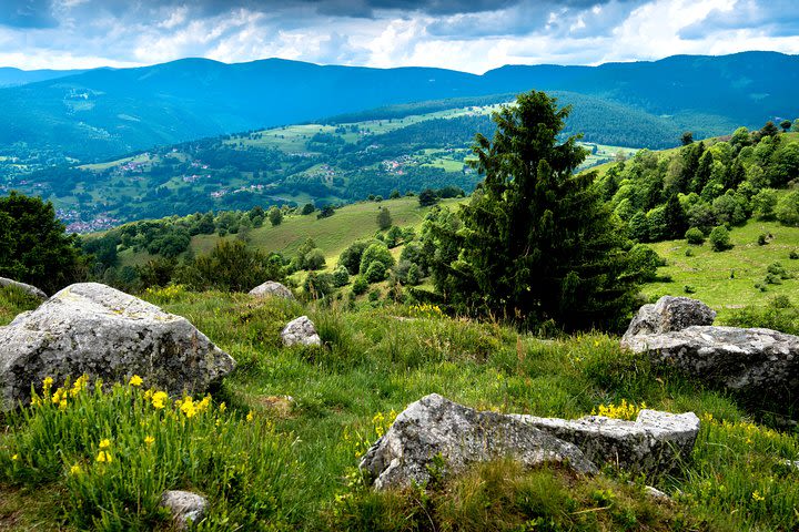 Strasbourg - Regional Natural Park of the Northern Vosges image