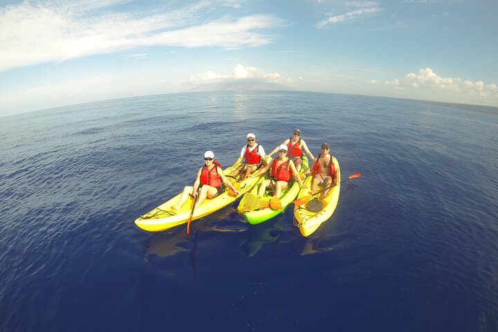 South Maui Kayak and Snorkel Tour with Turtles image