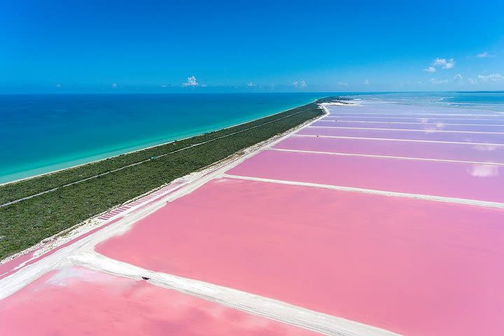 Pink Waters of Las Coloradas, Pink Flamingos and Colonial City of Valladolid with Photographer image