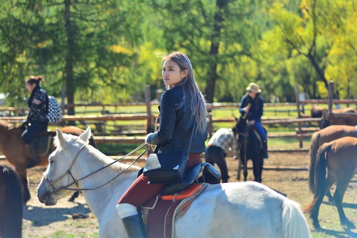 1 Day Horseback Riding Tour with Historic Temple in Mongolia Including Lunch image