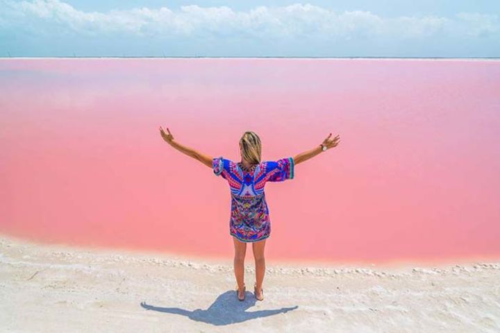 Las Coloradas Tour + Pink Lake and Rio Lagartos image