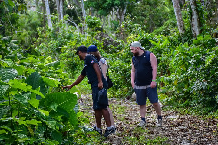 Hiking and Walking Tour Punta Cana image