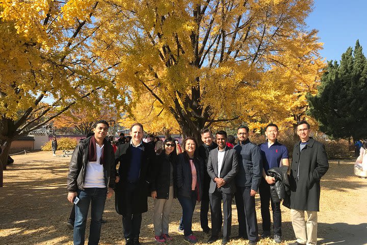 Nami Island & Petit France image