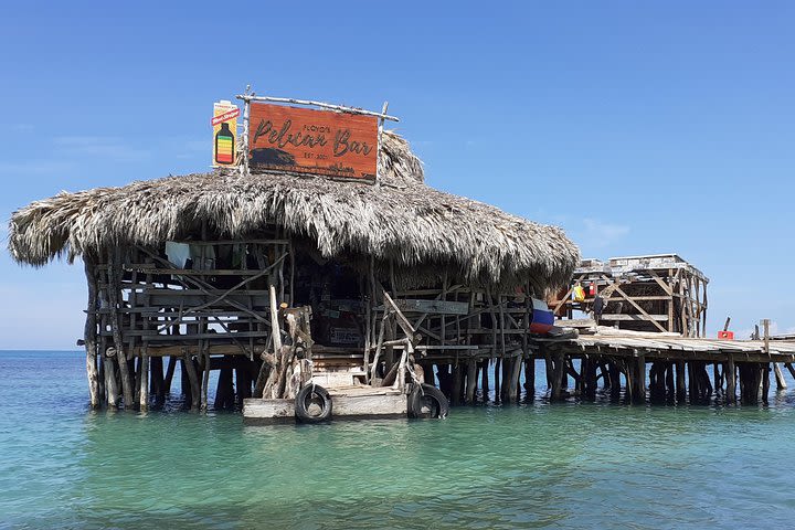 Pelican Bar south coast experience, Appleton Rum Tour and YS Falls image