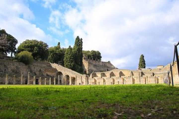 Skip-the-Line Half-Day Private Tour Ancient Pompeii Highlights with Native Guide image