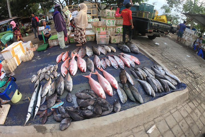 Fish & Traditional Market Package Visit  image