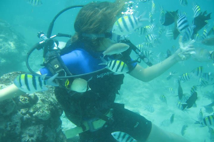 Private Diving Tour At The Marine Protected Area In Nha Trang Bay image