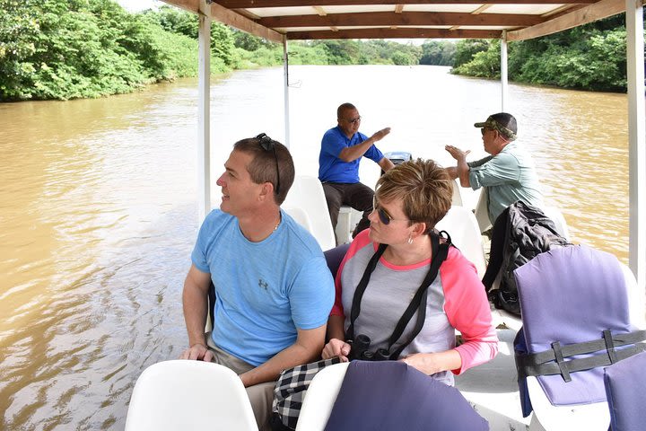  Caño Negro Wetlands by Boat|Small groups 8 max image