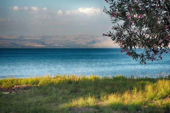 Golan Heights Biblical Day Trip from Tel Aviv image