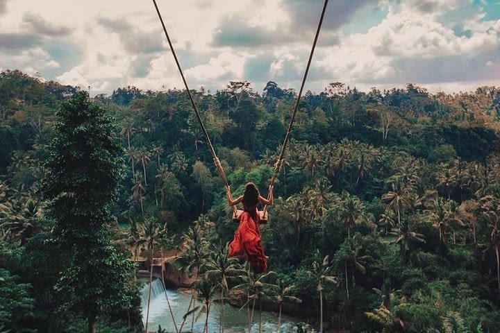 Best of Ubud Tour with Bali Jungle Swing image