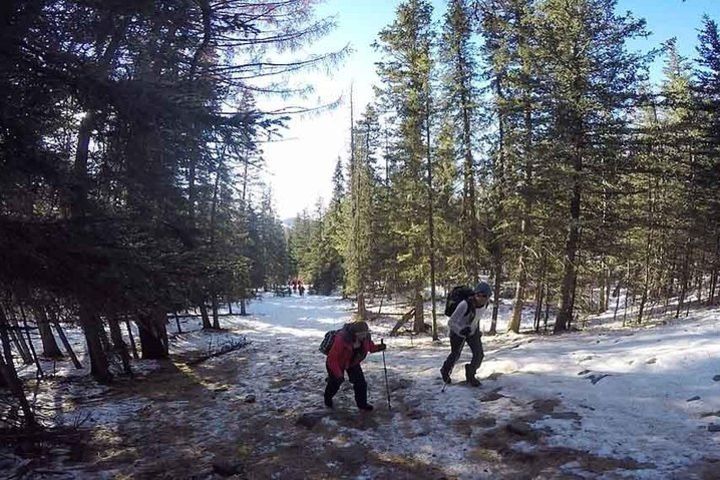 Bogd Khan National Park Hiking Day Trip image