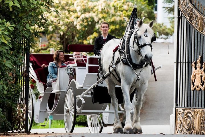 Premier Horse-Drawn Carriage Tour image