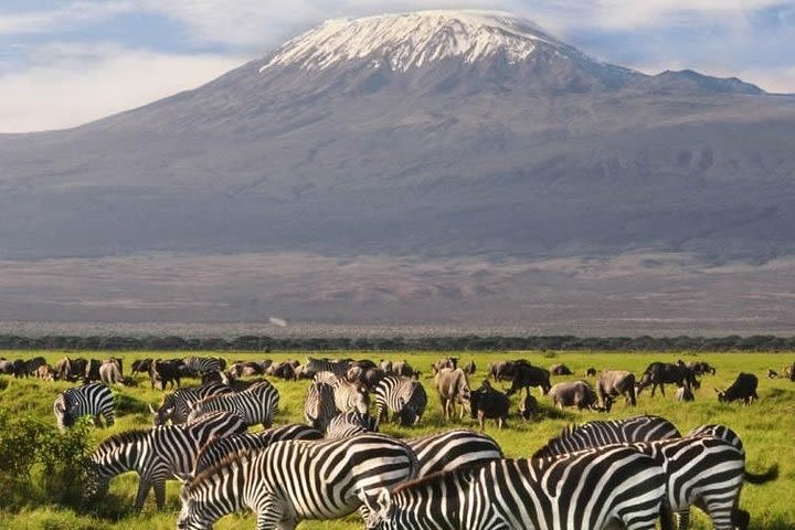 2 Days Amboseli Daily Departures image