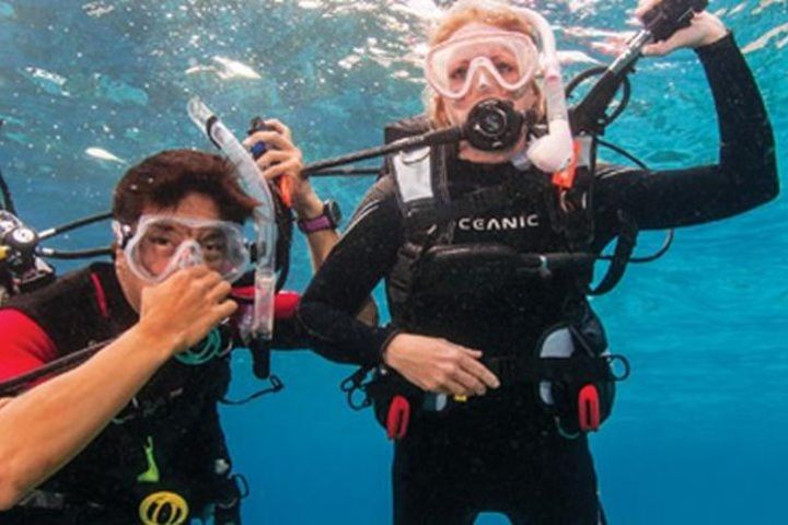 PADI Open Water Course at Playa Flamingo image