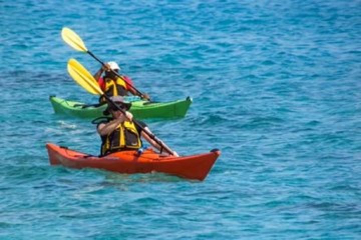 Small-Group Kayaking Experience in Sydney  image