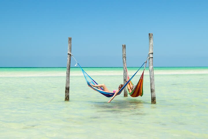 Full-Day Tour of Holbox Island with Lunch image