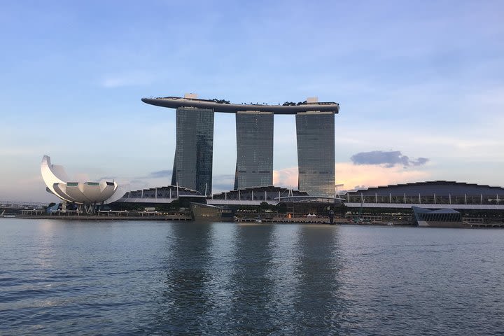 Singapore City Sightseeing by Private Minivan image