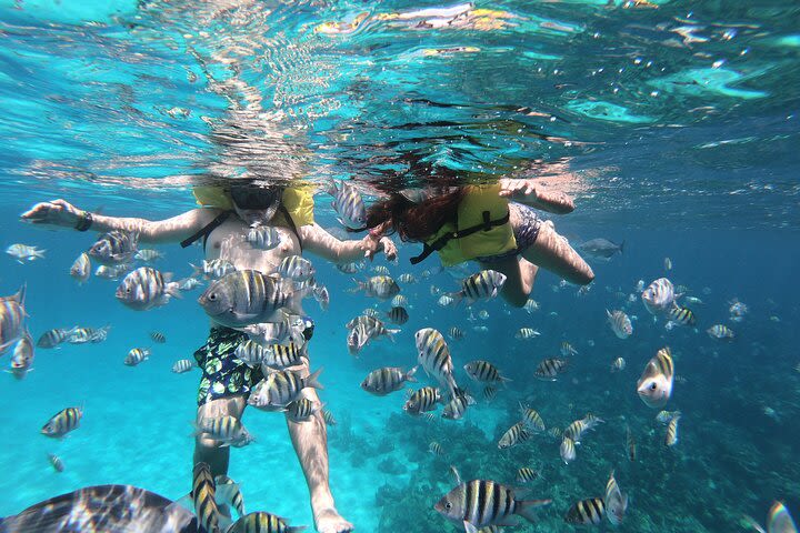 Guided Snorkeling Tour to the Reef Drop in West Bay image