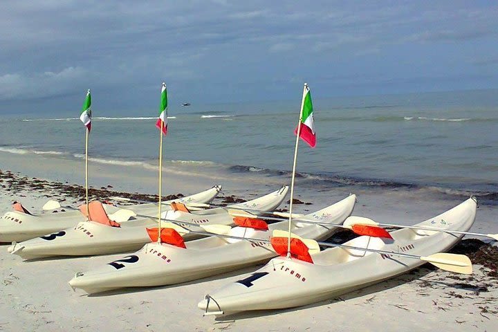 Mangroves Paddling tour image