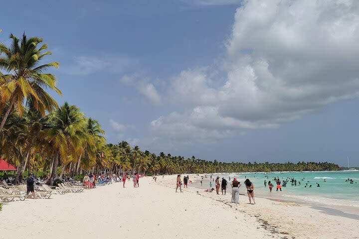 Catamaran Day Trip to Saona image