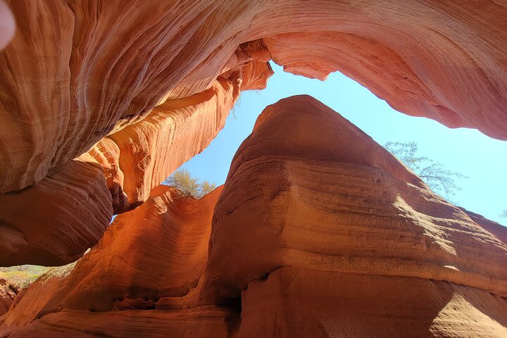 Guided tours in southern Utahs slot canyons, Indian ruins, and national parks.  image