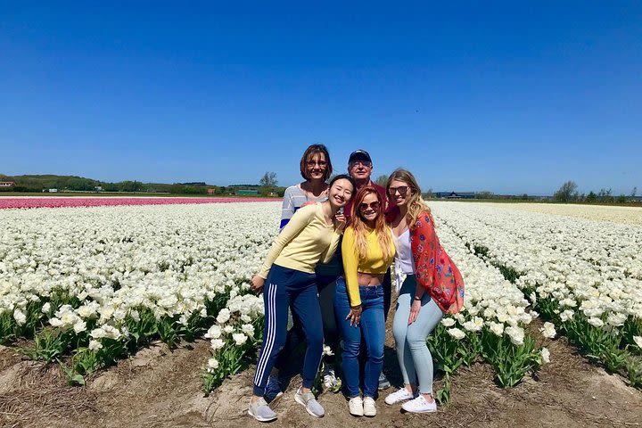 Small Group Tulip and Spring Flower Fields Bike Tour image