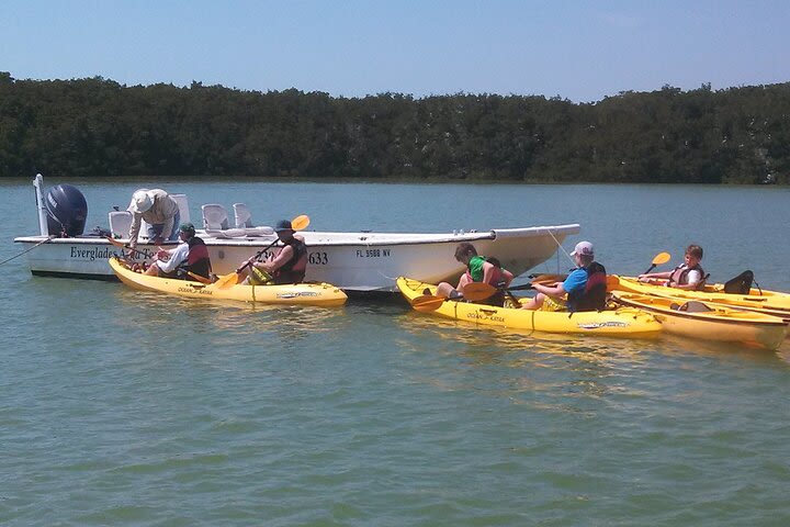 Small-Group Everglades Boating Kayaking and Walking Eco Tour image