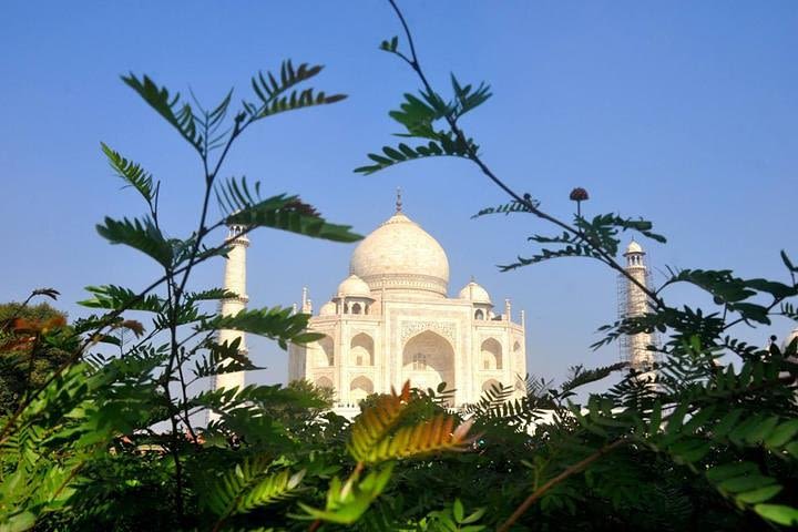 Taj Mahal & Agra Fort Sunrise Tour from Delhi by Car image