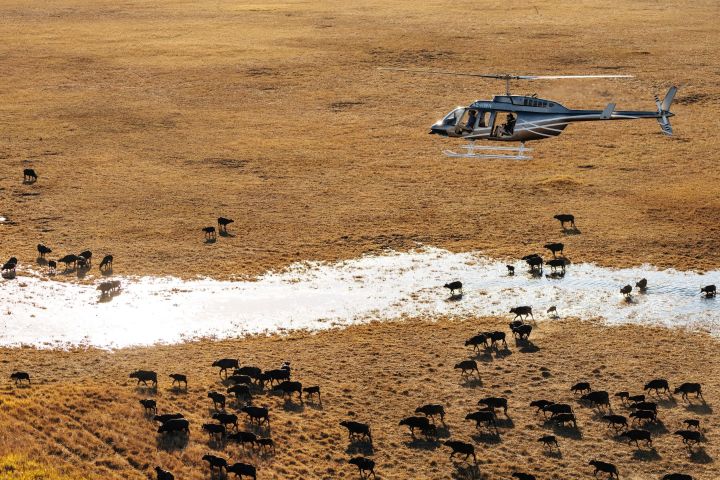 Okavango Delta Helicopter Tour with Champagne Stop image