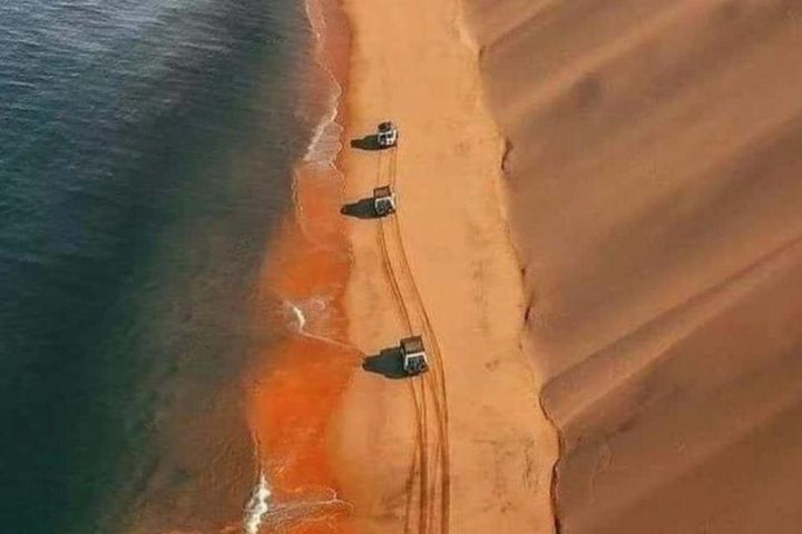 Doha Desert Adventure Tour image