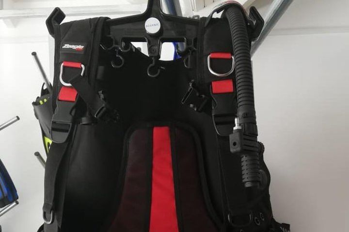 Buoyancy Control Device / BCD image