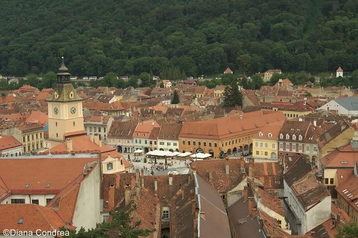 Brasov and Bran Castle Private Day Tour from Bucharest image