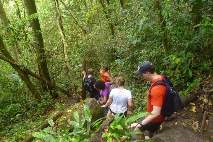 Gros Pitons Hike - Minimum 4 pax image