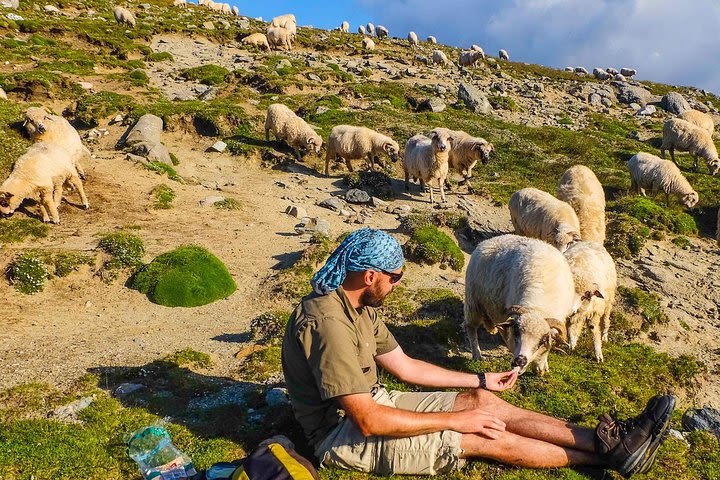 2-Day Hiking tour in Bucegi Mountains from Bucharest image