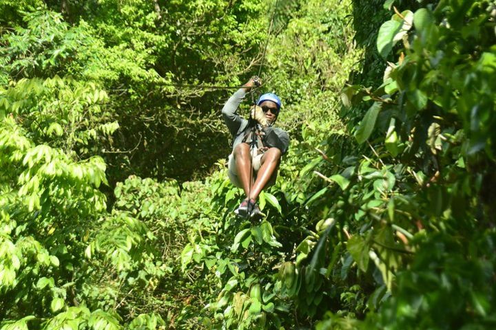 Canopy Zip Line in Go Adventure Park image