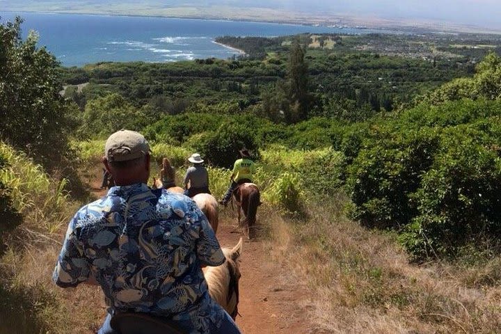 West Maui Mountain Waterfall and Ocean Tour via Horseback image