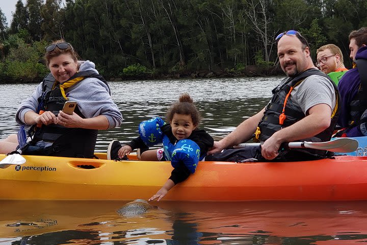 Manatee and Dolphin Kayaking | Haulover Canal (Titusville) image