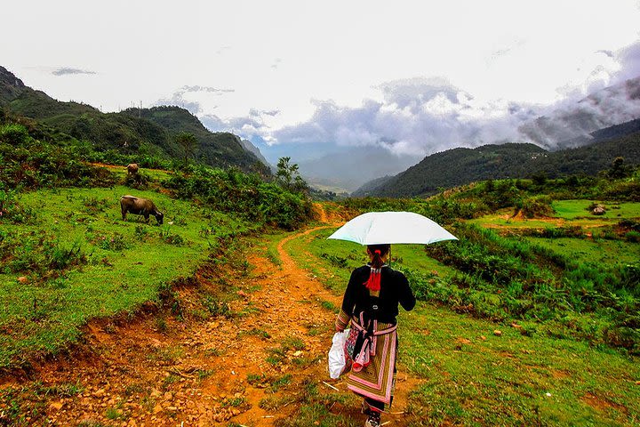 Sapa Valley Trek and Homestay - 3D2N image