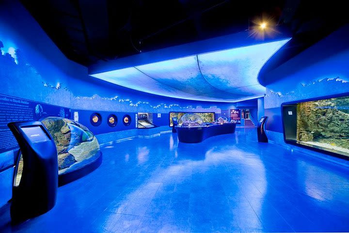 Istanbul Aquarium and Aqua Florya Independent Shopping Trip image